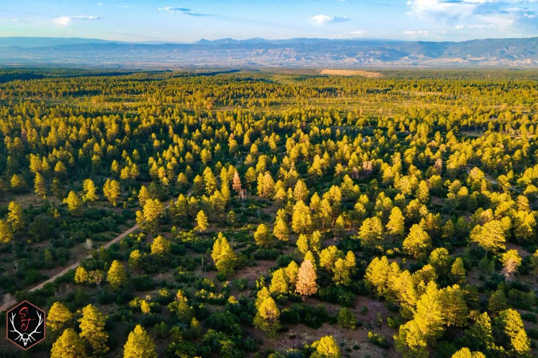 East Dolores Creek Ranch