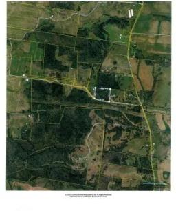 21329379-32