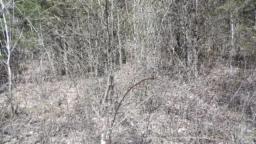 21329379-6