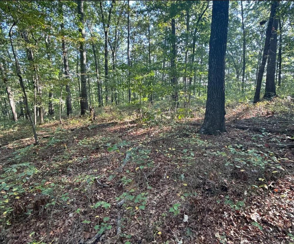 5.06 Acres at 0 Turkey Court &amp; 46