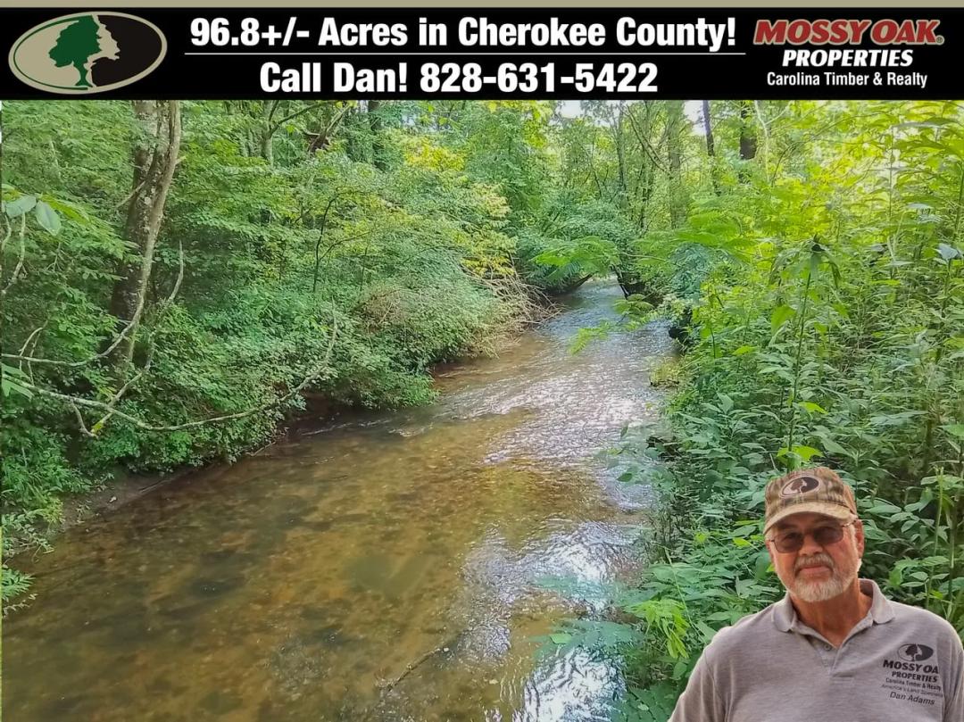 96.84+-Acres Unrestricted with USFS and Trout Stream