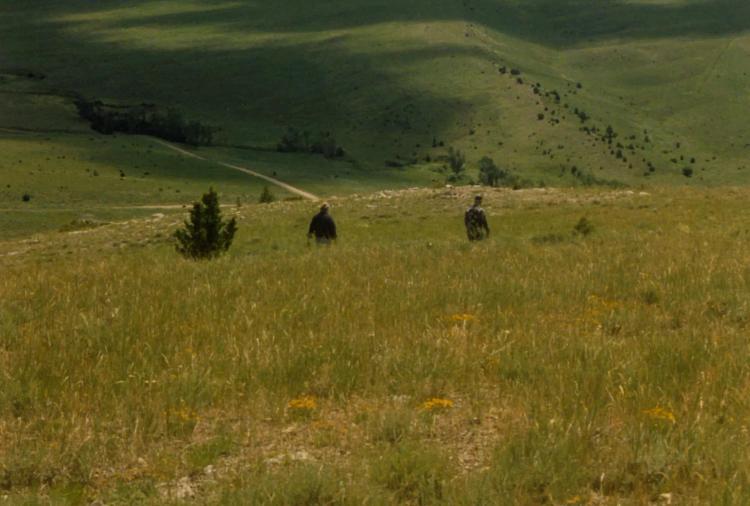TOP OF THE VALLEY