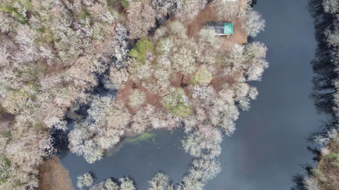 1.49 Acres at 0 Cox's Lake Ct