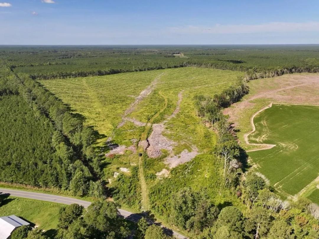 96.86 Acres of Timberland & Hunting Land for Sale in Gates County, NC!