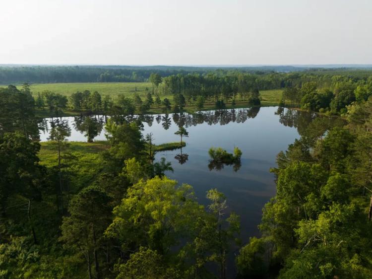 Spring Hill Lakes 3,077 AC- Barbour County, AL