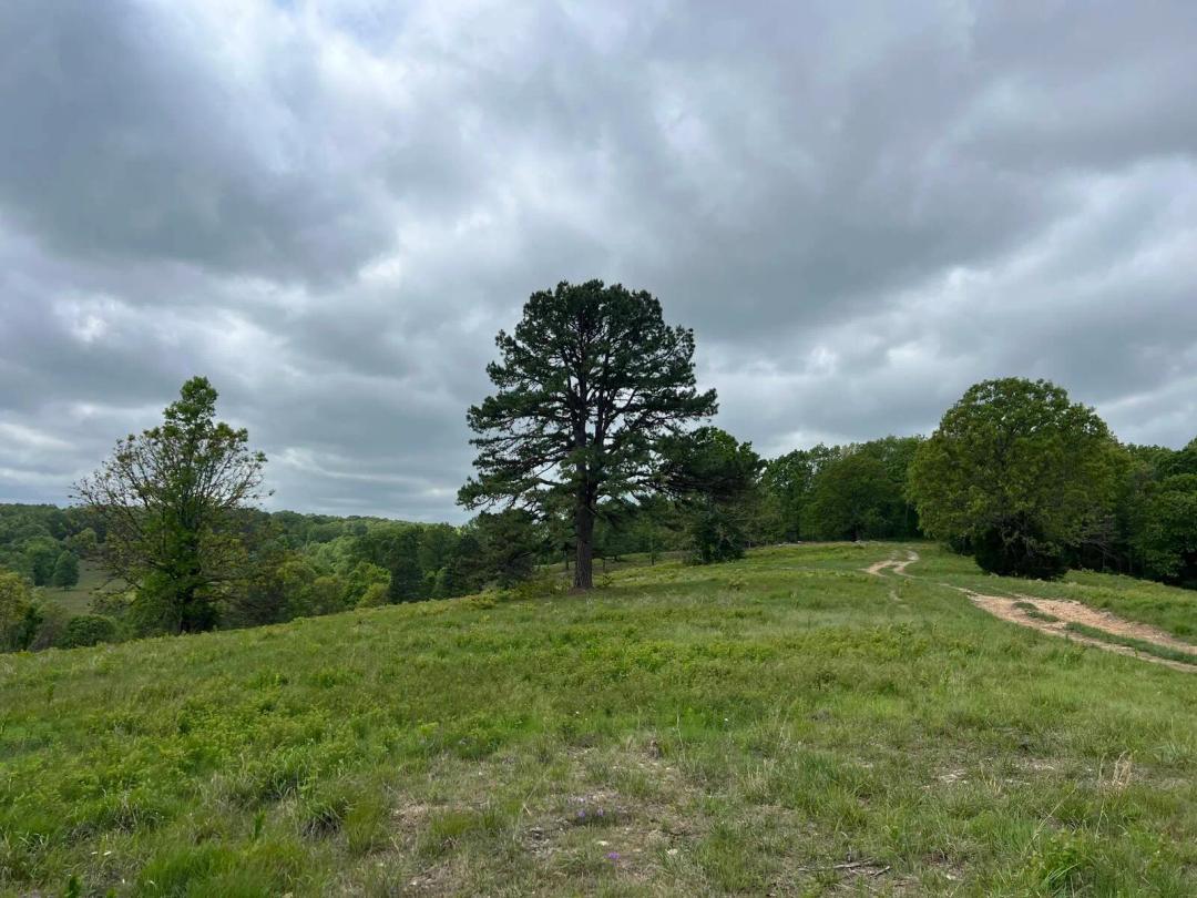 372.90 Acres at 000 Co Rd 321 Route 5