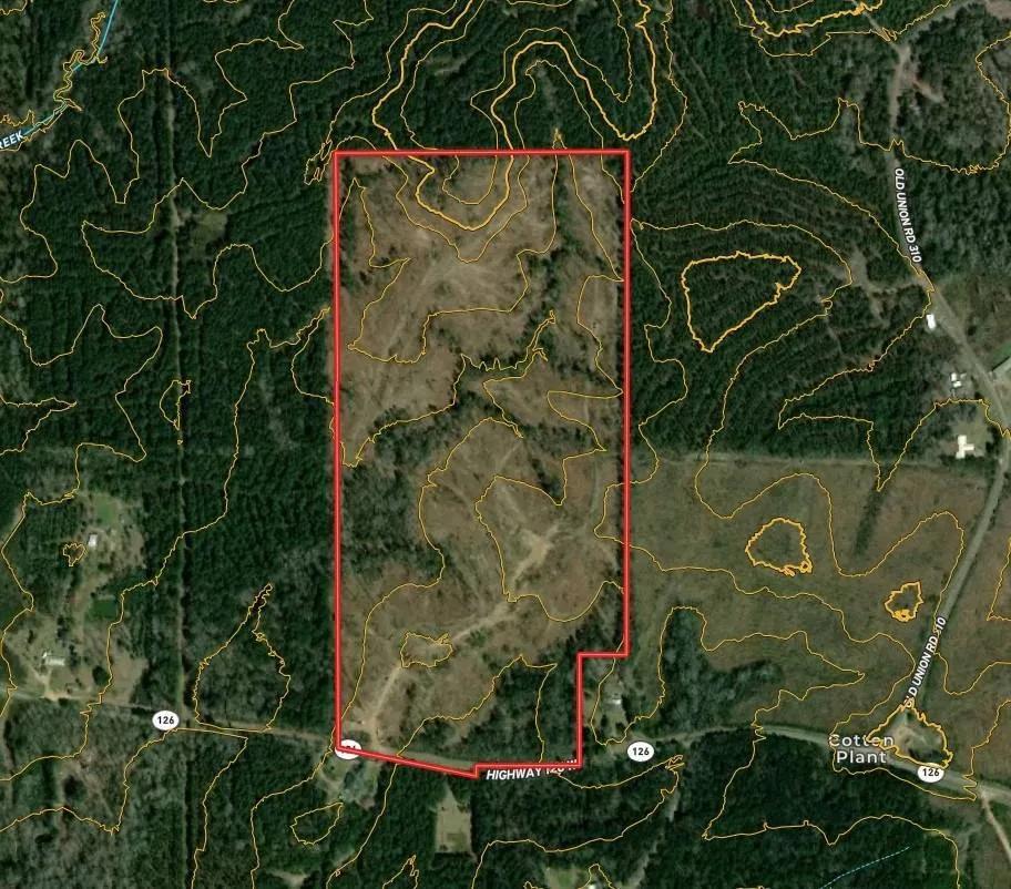 78 ACRES+/- CALDWELL PARISH, LA