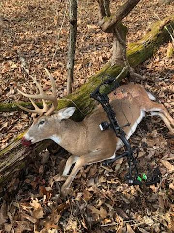 Whitetail Valley 81