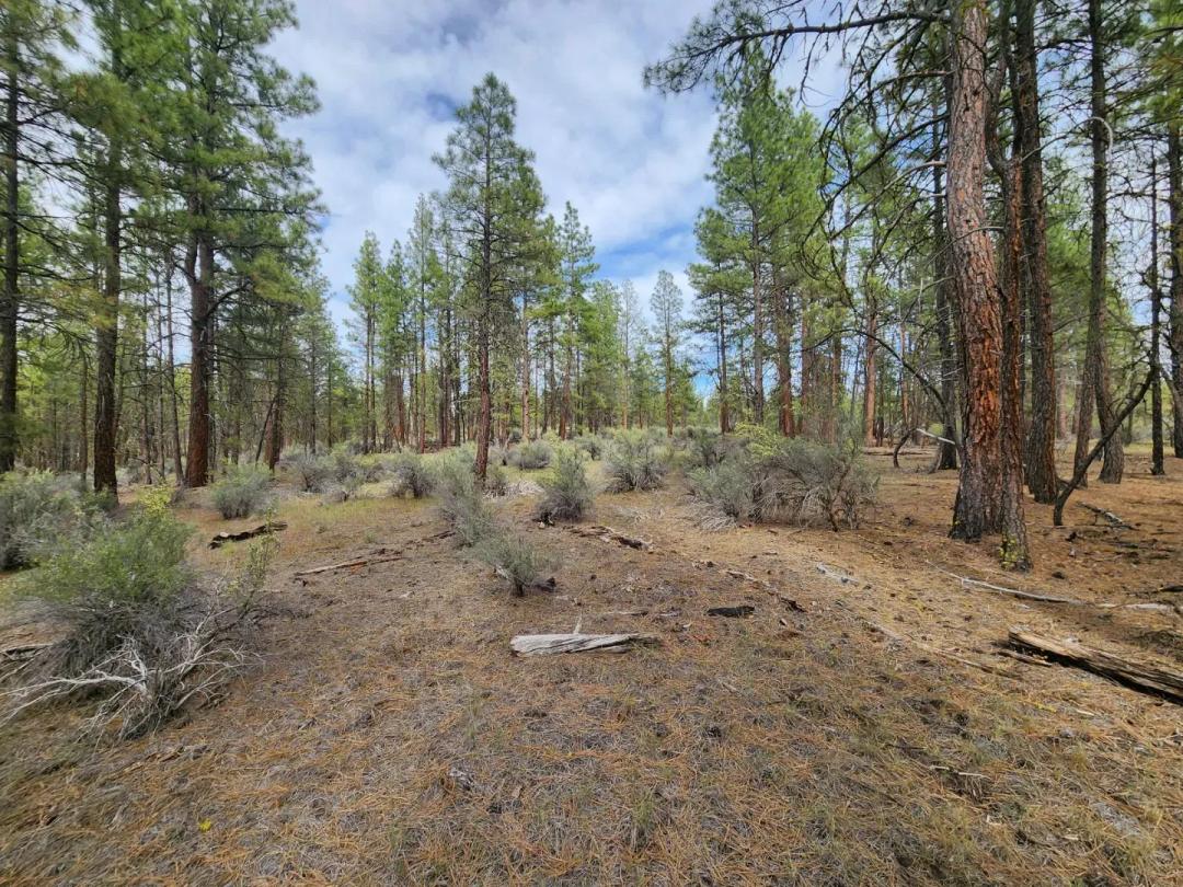 2.32 Acres, Klamath, OR, R269159
