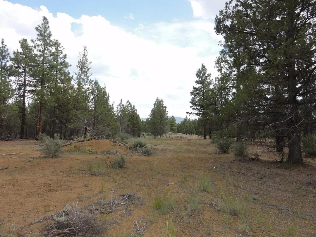 2.32 Acres, Klamath, OR, R269159