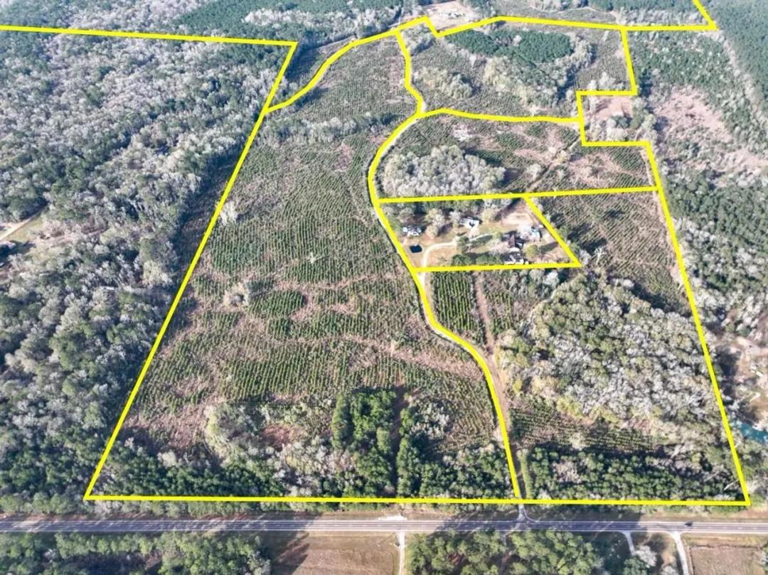 90 Acres | T-6B | Tall Cotton Rd. | 00043