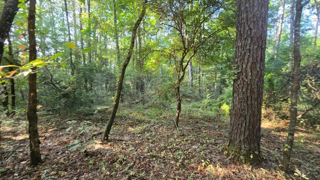 4.5+/- Acres in Wilkinson County, MS