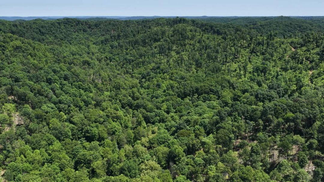 Pike County Ohio Land for Sale | 153 Acres | Maturing Timber