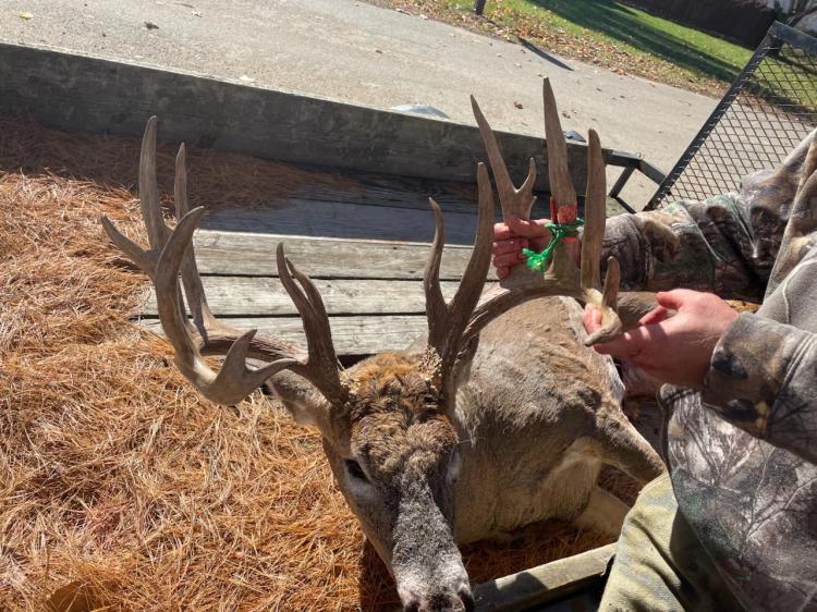 138 +/- Eaton &amp; Calhoun County/Bellevue, MI/Hunting/Recreational