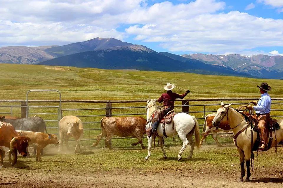 Reinecker Ridge Ranch
