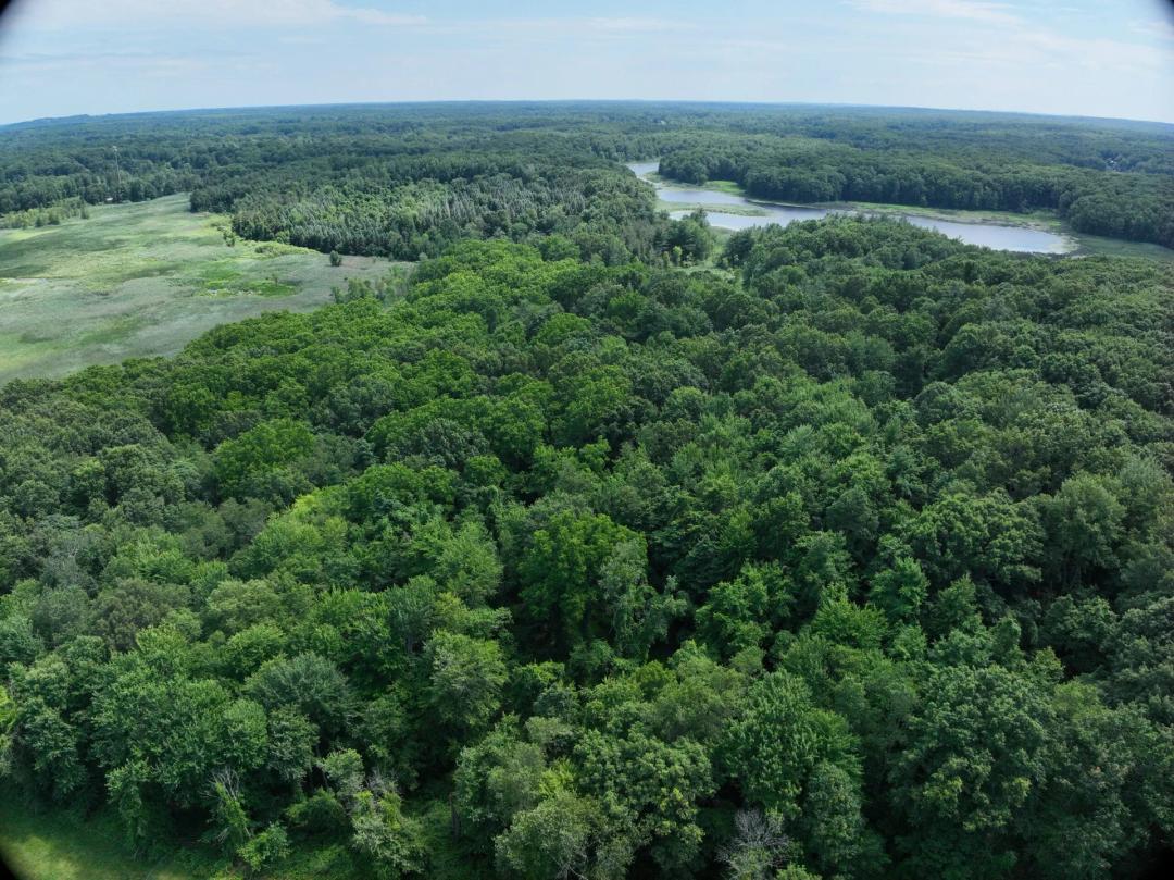 Rochester Road – 80 Acres