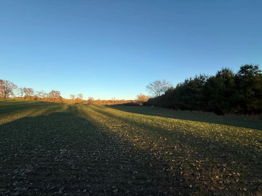 92+/- Acres of Hunting Land in Green Lake WI