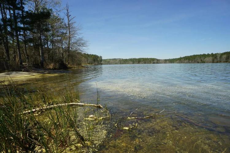 488+/-ac in Rockdale County