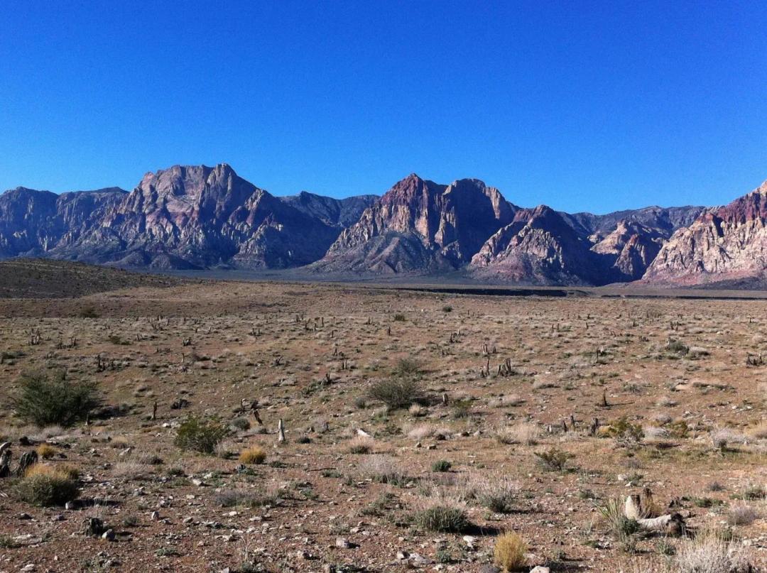20 Acres, Elko, NV, 010-35B-043