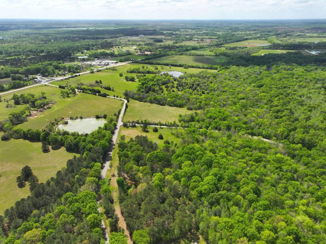 7 Acre Homesite in Pike Road