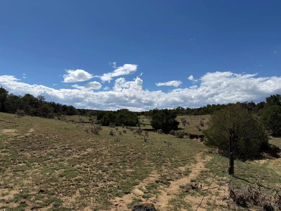  lts81a&101 Twin Lakes Ranch, Walsenburg, CO 81089
