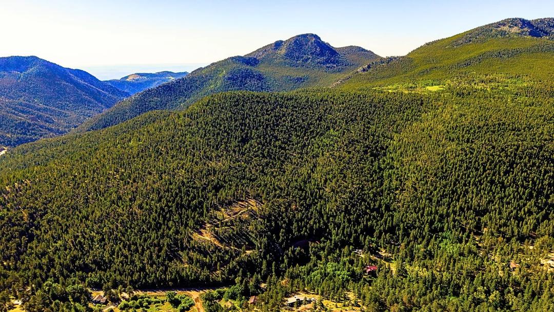 Twin Spruce Ridge