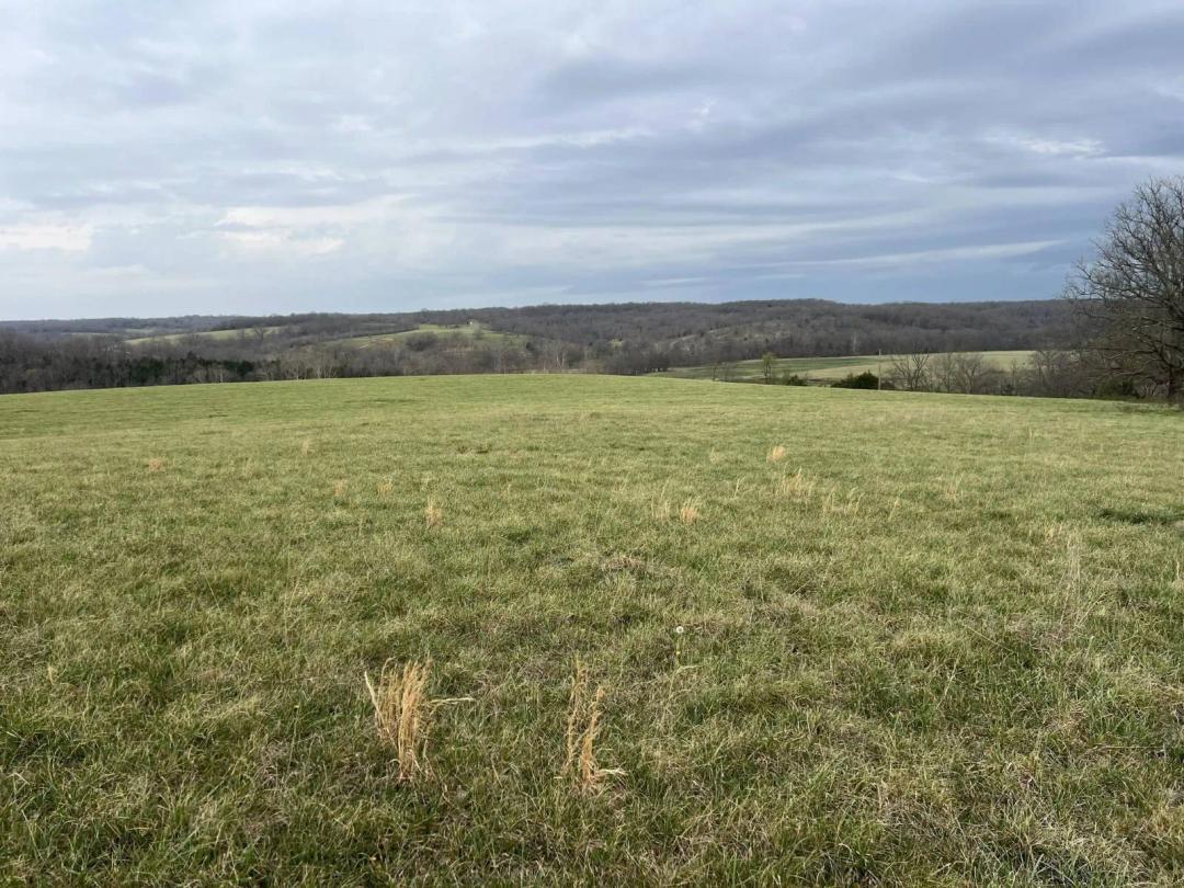 74.91 Acres at 000 Curtner Road