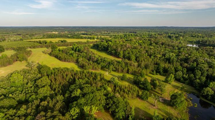 35 Acres in Grady at Oak Hill