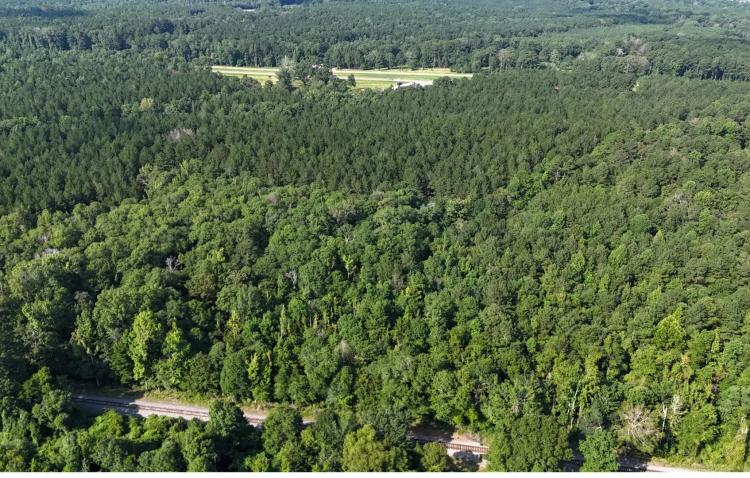 68 Acres in Covington County in Mt. Olive, MS 