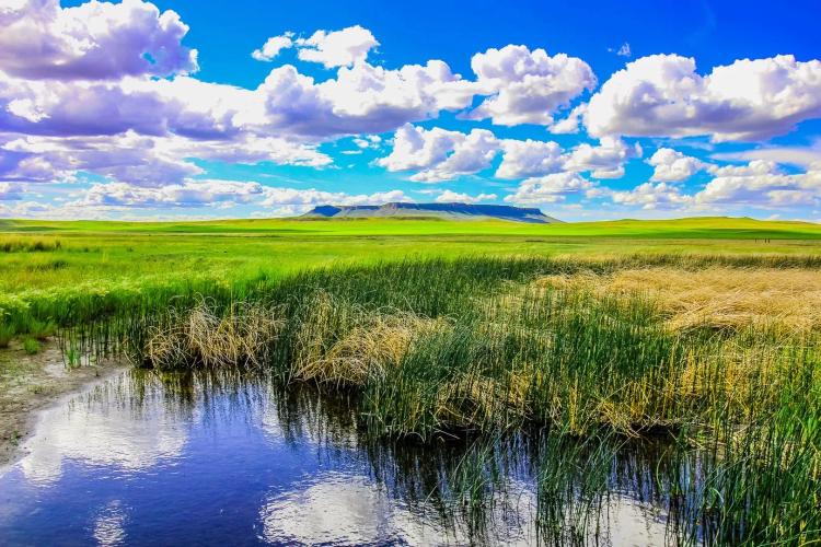 Little Muddy Creek Ranches