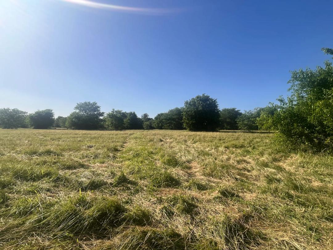 Gorgeous Build Site on 21 Acre
