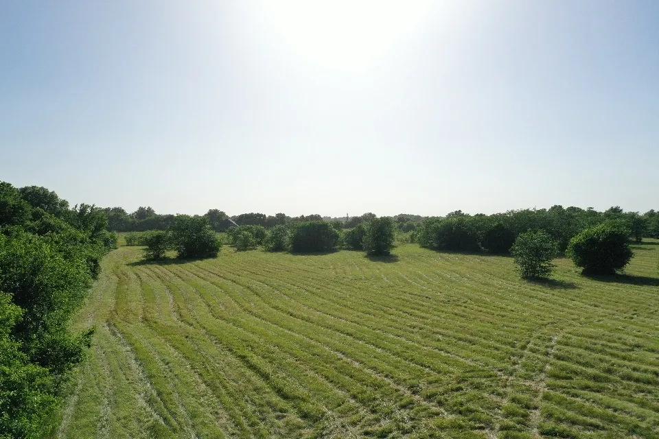 21860396-15