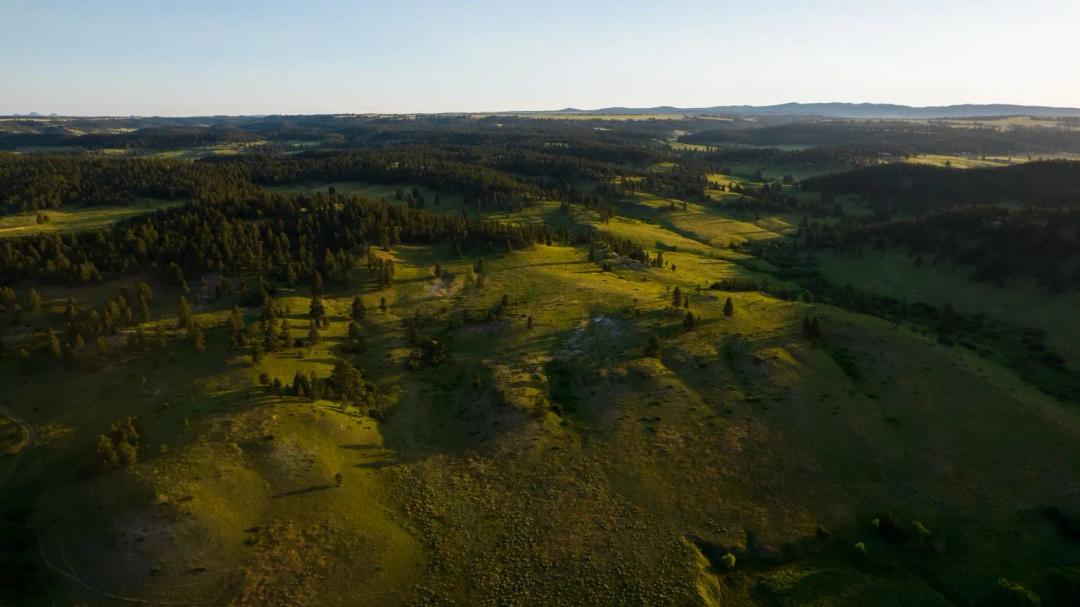 Little Houston Creek Ranch