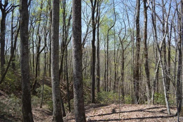 309 Laurel Valley Way, Travelers Rest, SC  29690