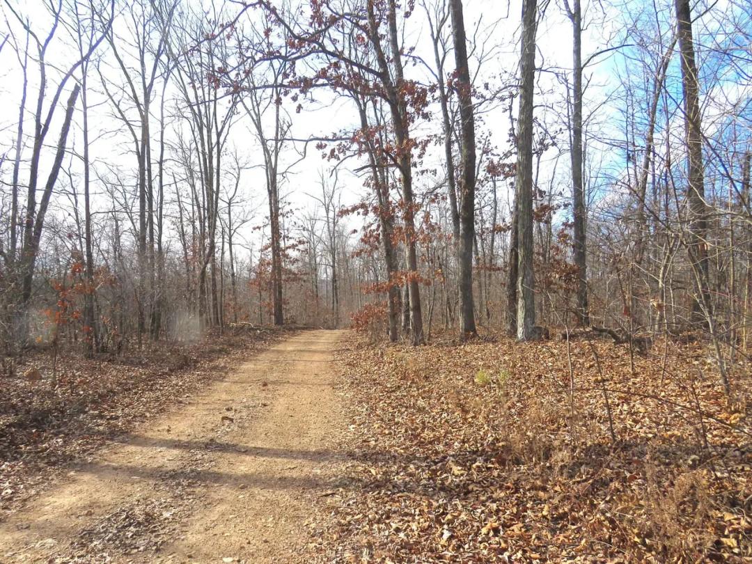 520 AC m/l of Vacant Land For Sale in Ellington, MO
