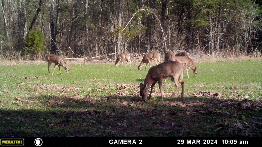 157-Acre Hunting Property in Jonesburg, MO for Sale - Farmstead with Barn, Farmhouse & Pond!