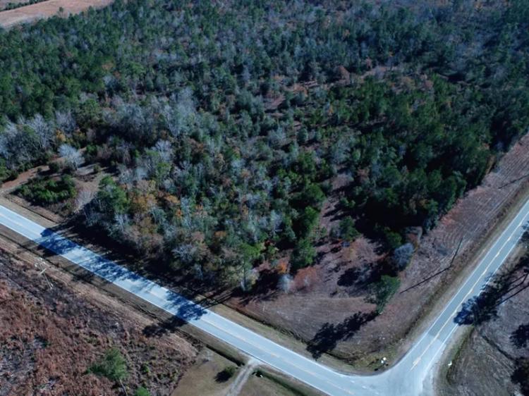 4.5+/- Acre Corner Lot For Sale in Pender County NC!