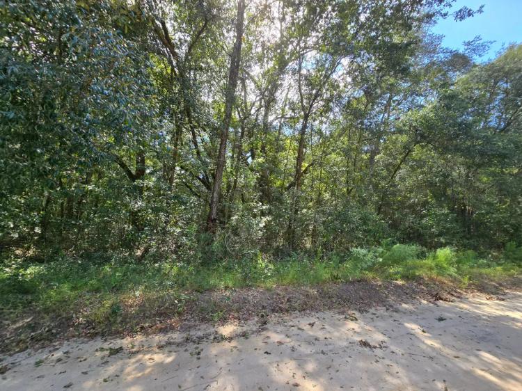 Oversized .65-Acre Lot in Interlachen, FL – Own today for only $500 down!