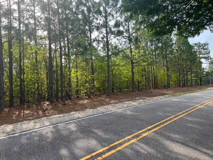 Amazing 9 Acre Lot in Hartsville, SC!