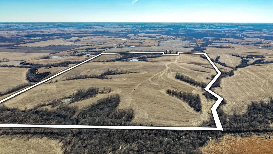 Ringgold County IA Land for Sale | Tract 5: 228.47± Acres 
