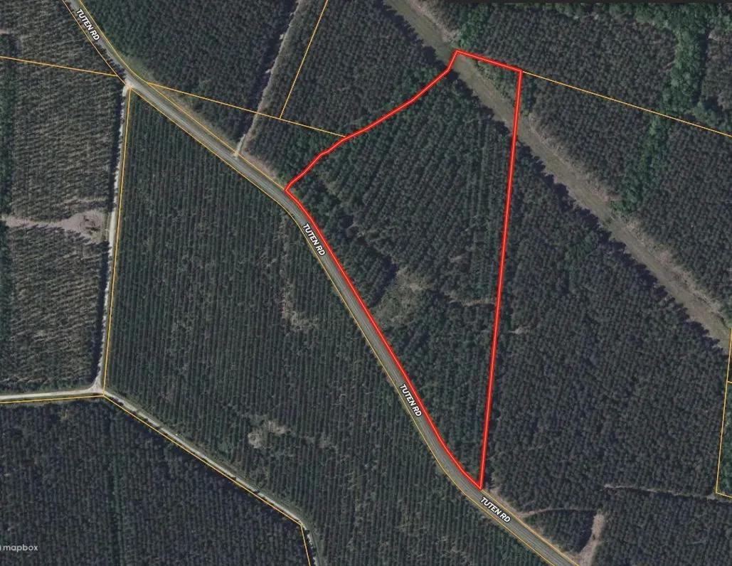 21 Acres Timberland & Hunting Near New Bern NC
