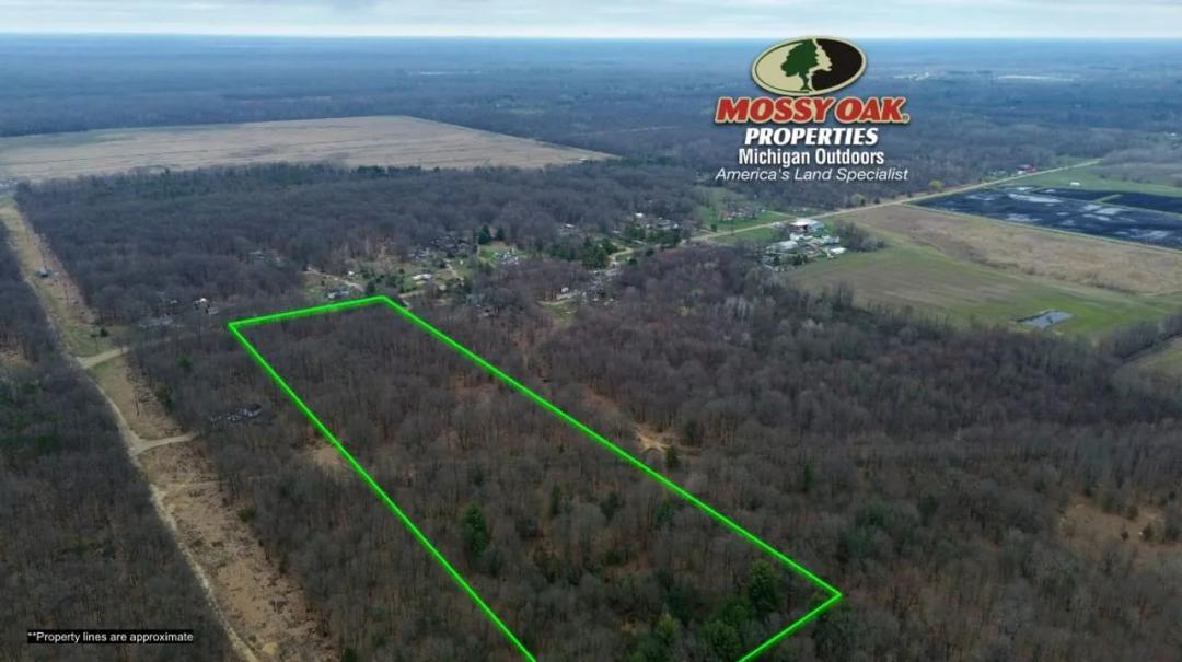 20 Acres V/L 58th Street Pullman MI 49450