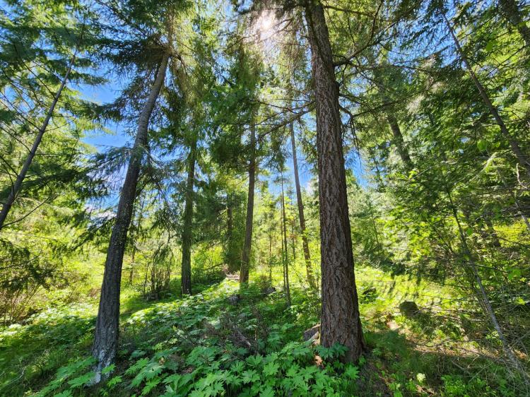 Cle Elum 129 Acres