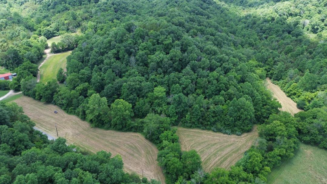 Hunting Tract Near Dale Hollow Lake and the Cumberland River