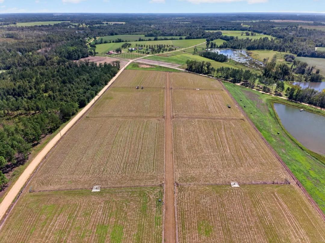 Barndominium & Established Livestock Operation on 29.63 Acres 