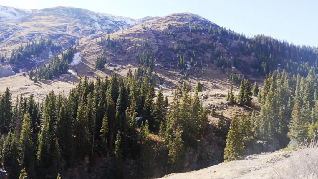 High atop Treasure Mountain above the ghost Town of Animas Forks