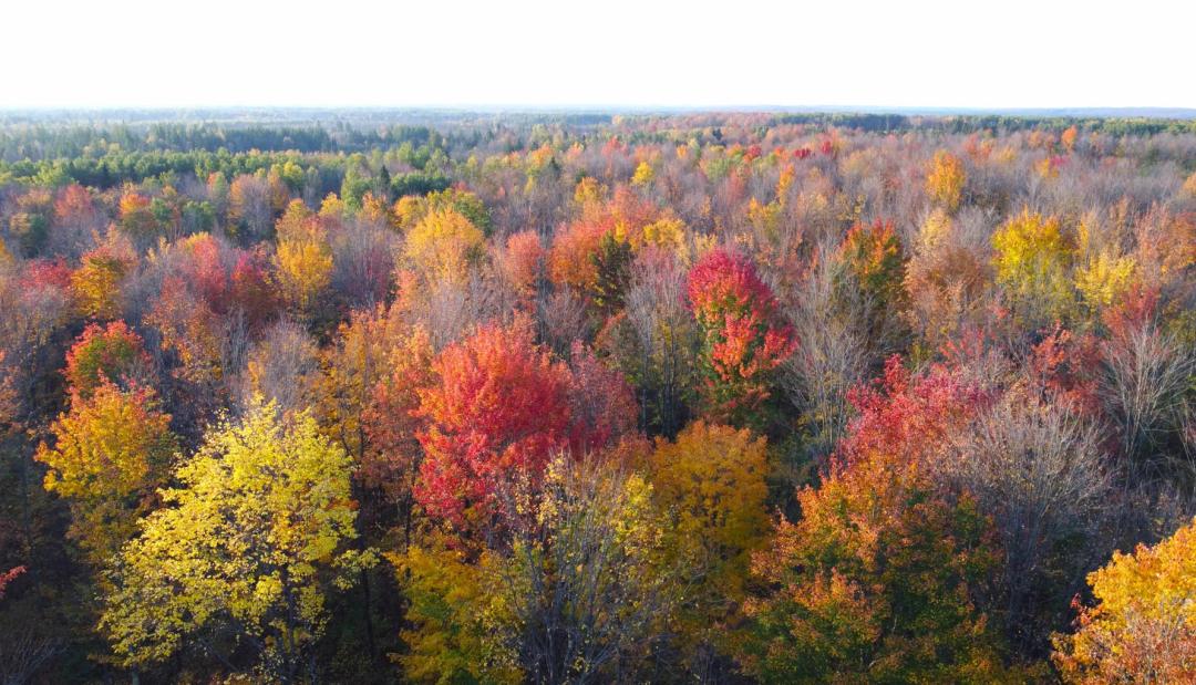 Price County, Wisconsin 917 Acres For Sale