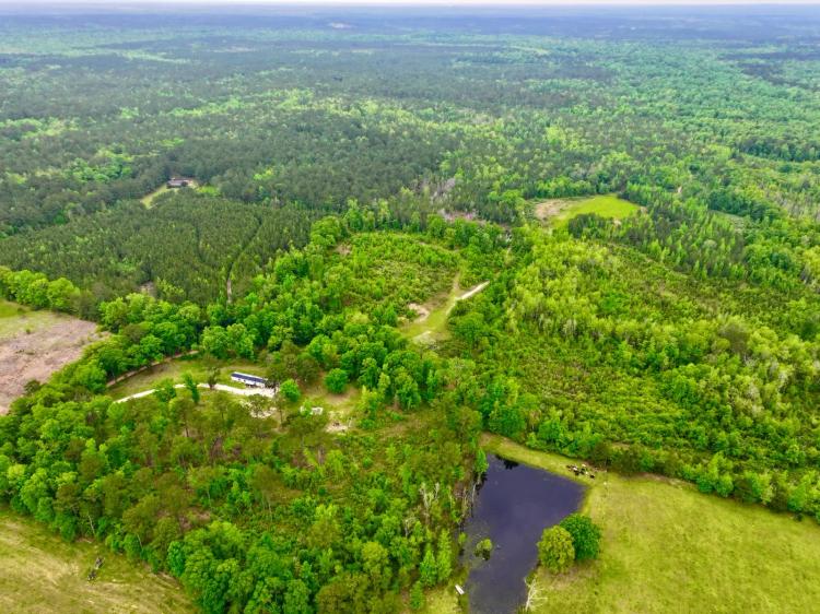 267± Acres of Prime Hunting &amp; Timberland in Washington County