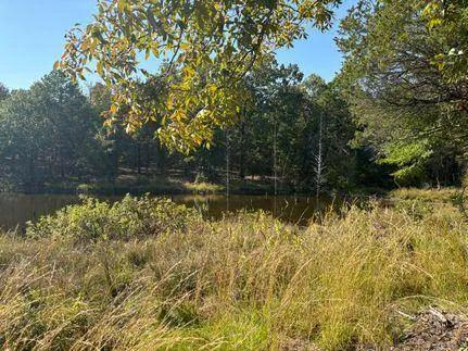 5.7 PRIVATE ACRES WITH VIEWS OF OZZIE COBB LAKE FOR SALE