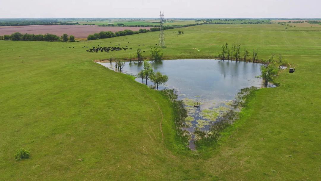 332 Acres in Milam County